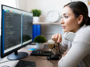 Application Development Maintenance and Support Services icon
